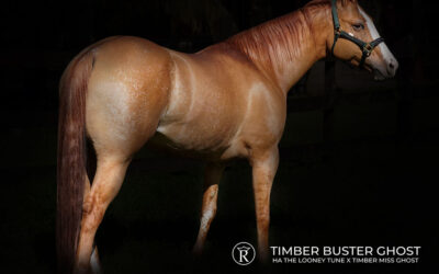 Gabriela Brugal primer lugar en Longines FEI Jumping World Cup