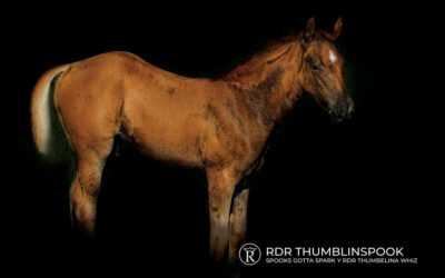 María Gabriela Brugal hace historia en el salto ecuestre internacional